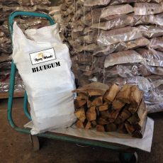 bluegum
