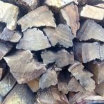 bluegum firewood