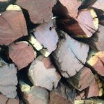 kameeldoring firewood
