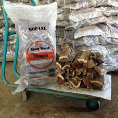 mopane