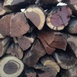 mopane firewood
