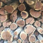sekelbos firewood